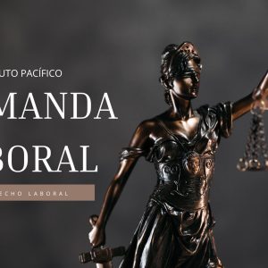 LA DEMANDA LABORAL EN EL PROCESO JUDICIAL ⚖️