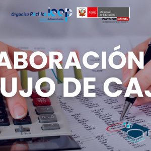 ELABORACIÓN DE FLUJO DE CAJA