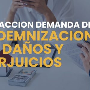 REDACCION DEMANDA DE INDEMNIZACION DE DAÑOS Y PERJUICIOS