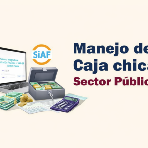 MANEJO DE CAJA CHICA EN EL SECTOR PÚBLICO