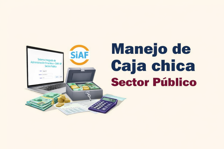 MANEJO DE CAJA CHICA EN EL SECTOR PÚBLICO